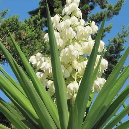 Villa Magical Mamamia On Island, Greece
