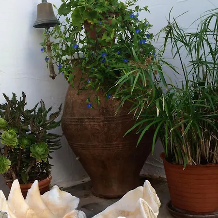 Villa Magical Mamamia On Island, Greece