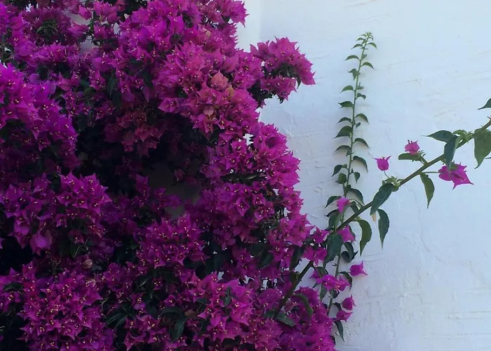 Βίλα Magical Mamamia On Island, Greece *