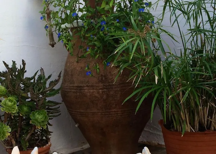 Βίλα Magical Mamamia On Island, Greece