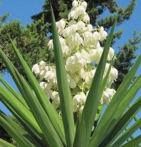 Villa Magical Mamamia On Island, Greece