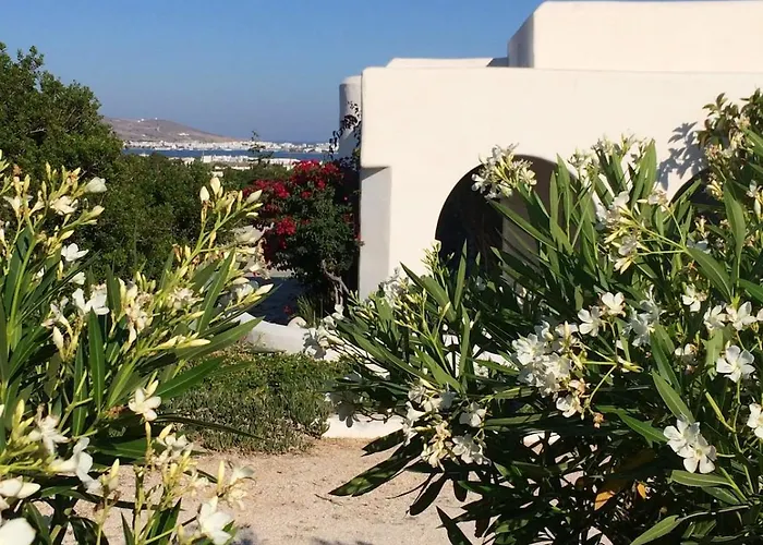 Magical Mamamia On Island, Greece Parikia (Paros)